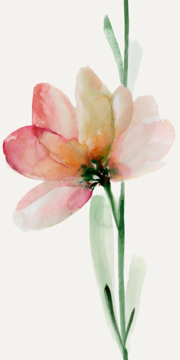 Cotto D'este Wonderwall Fleur B naturalna 50x100 cm gr. 4 mm